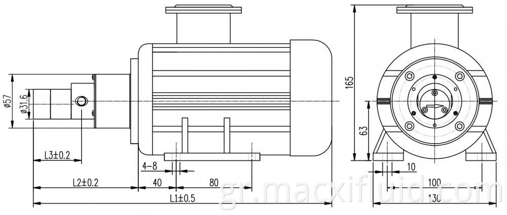 57 Ac Asynchronous Motor Gear Pump